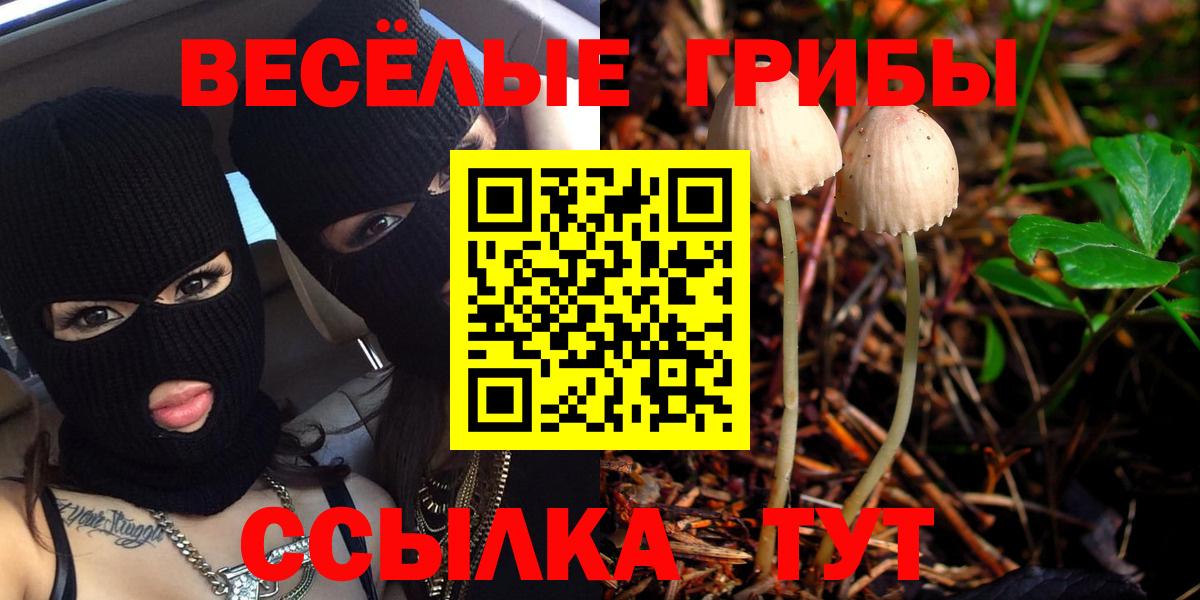 Белореченск  Псилоцибиновые грибы Magic Shrooms  Вход с VPN  Псилоцибиновые грибы Psilocybe 